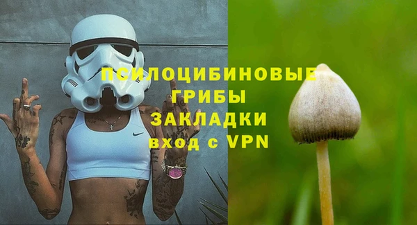 сатива Верхний Тагил