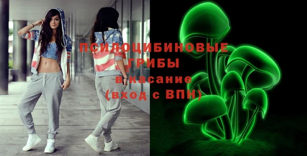 сатива Верхнеуральск