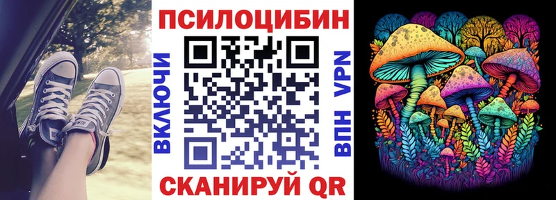 Купить закладки  Таштагол  Галлюциногенные грибы Psilocybine cubensis 